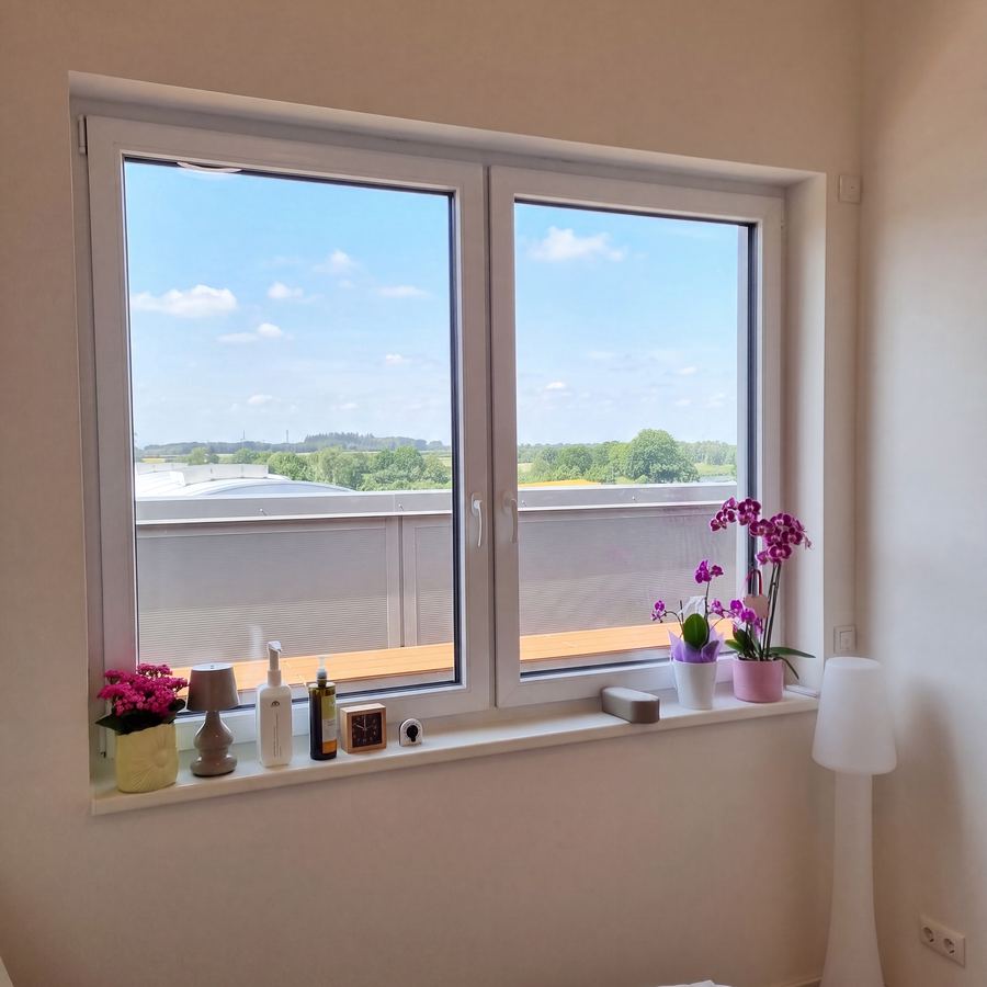 Fenster mit Blick ins Grüne